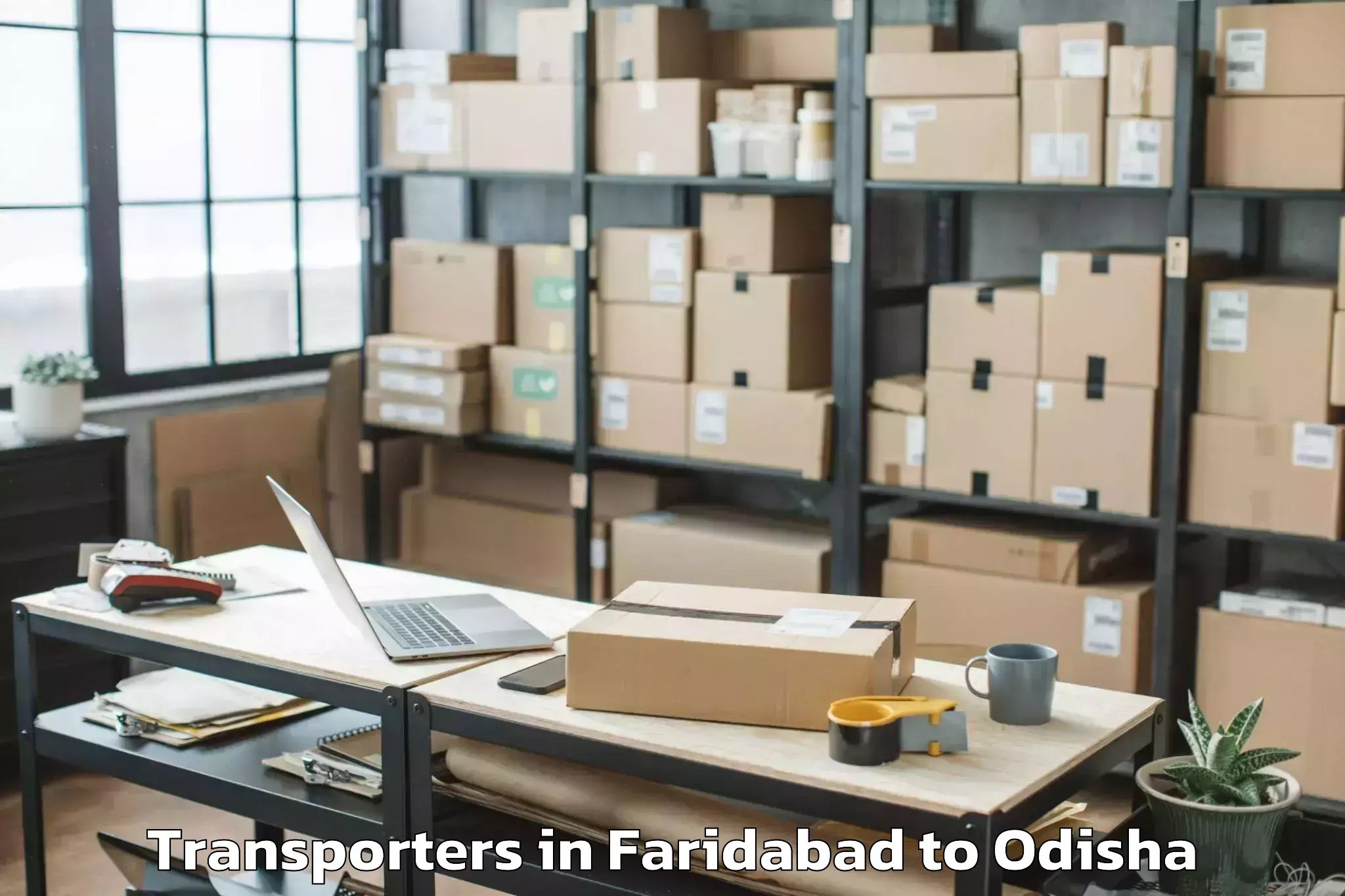 Book Faridabad to Banapur Transporters Online